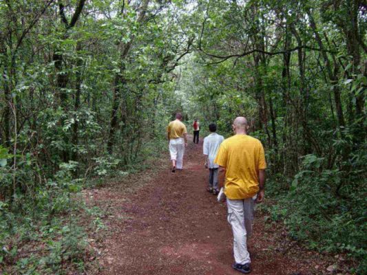 caminhandoparameditar