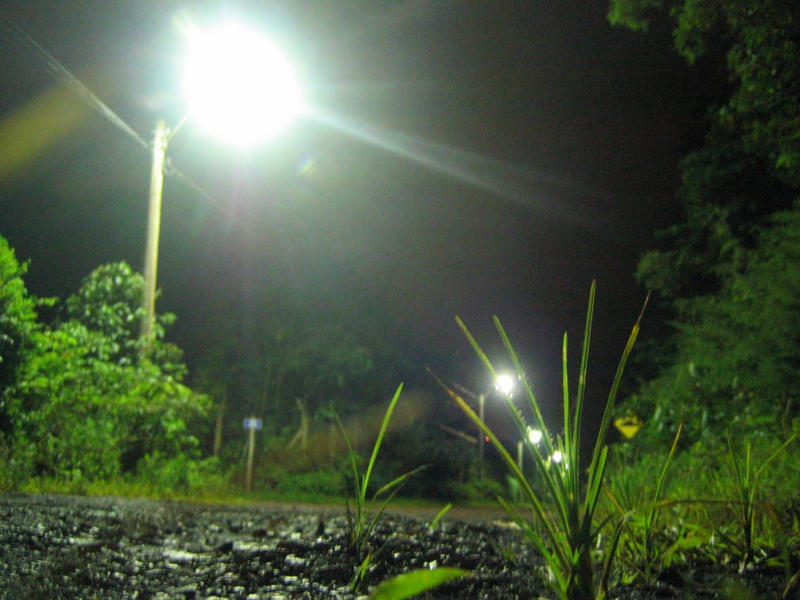 2008_Arama0012
