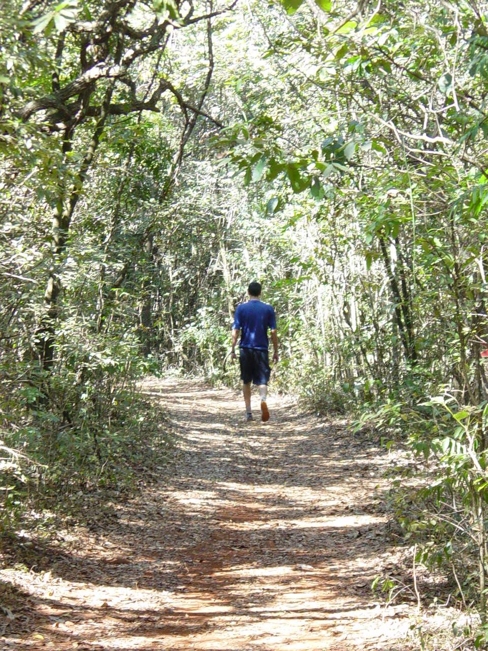 caminhandosó