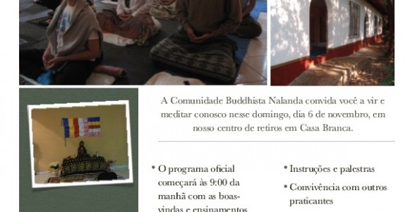 domingo novembro