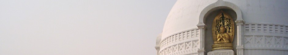india 393
