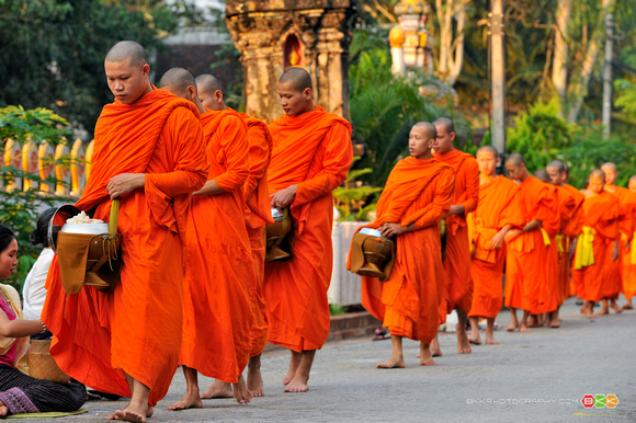 A Ordem Dos Monges E Das Monjas Centro De Estudos Buddhistas Nalanda